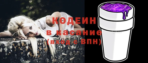 мдпв Новозыбков