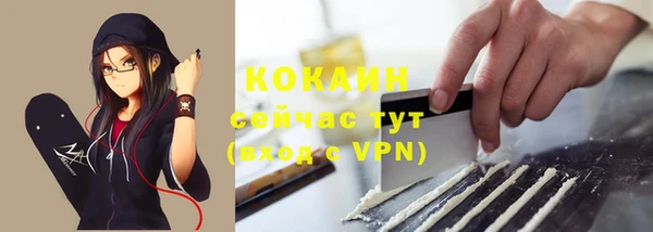 мдпв Новозыбков
