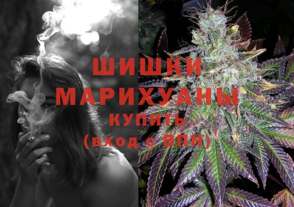 круглые Новодвинск