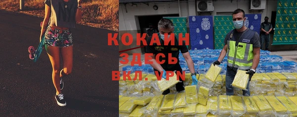 мдпв Новозыбков