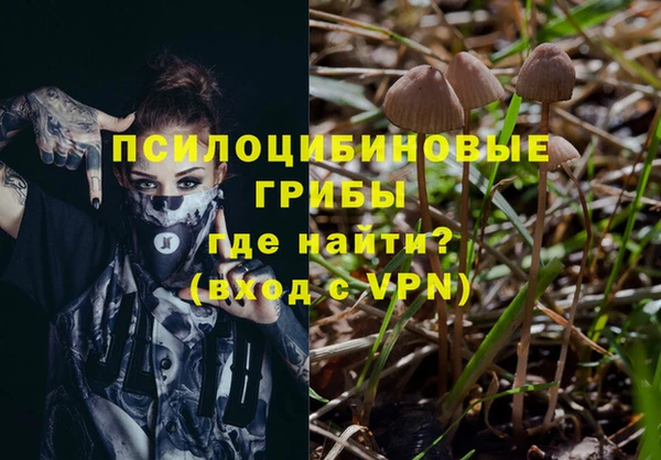 мдпв Новозыбков