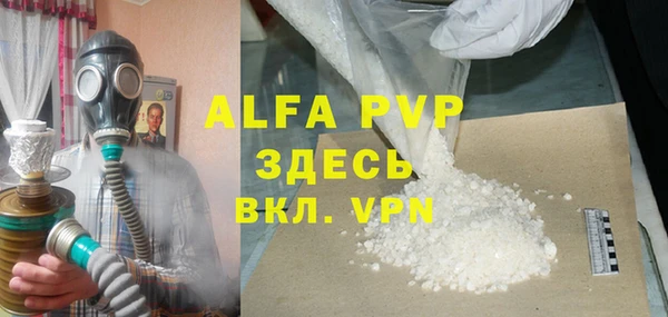 мдпв Новозыбков