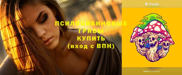 мдпв Новозыбков