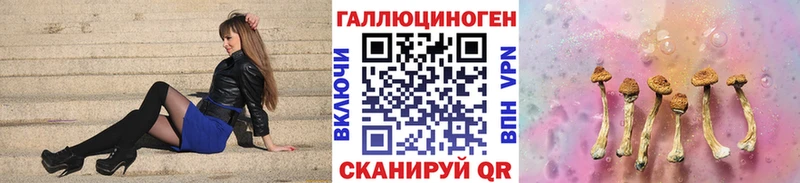 Галлюциногенные грибы Cubensis  цена наркотик  Ахтубинск 