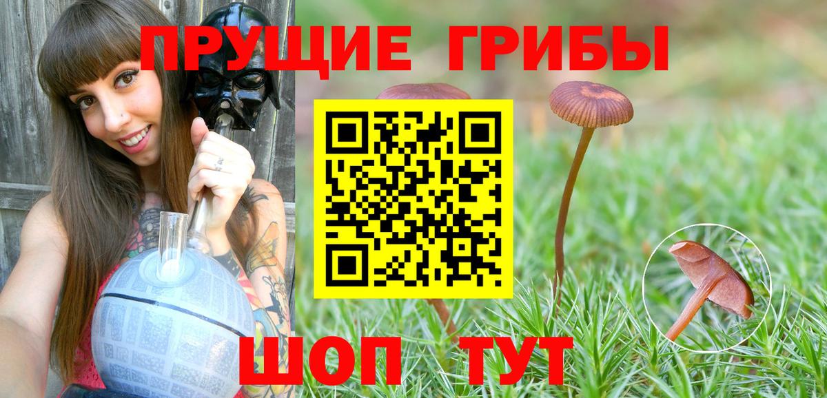 Галлюциногенные грибы Magic Shrooms Ахтубинск