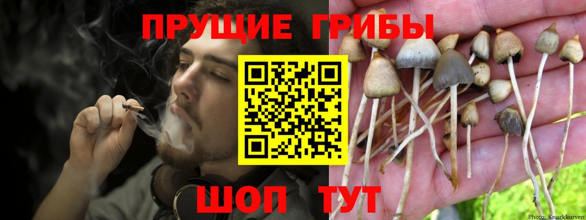Псилоцибиновые грибы Magic Shrooms  Псилоцибиновые грибы прущие грибы  Ахтубинск  Вход с VPN 